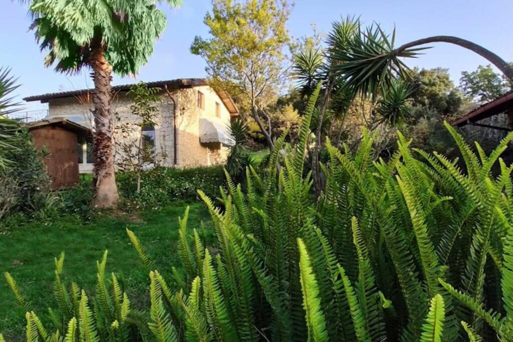 Villa Neli, Palazzolo Acreide, Siracusa, Hot Tub, Wi-Fi & Parking Exterior photo